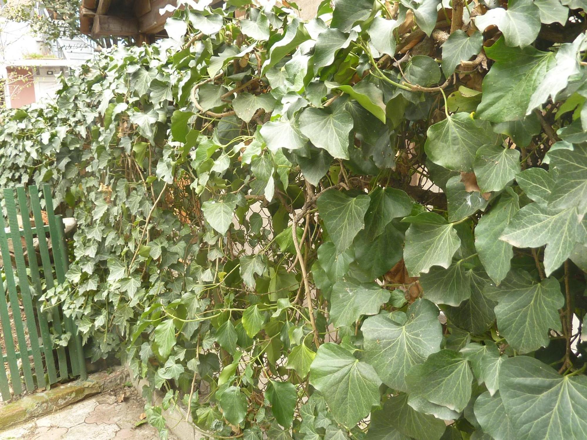 Gardens In Vake, Tbilisi Hotel Exterior foto